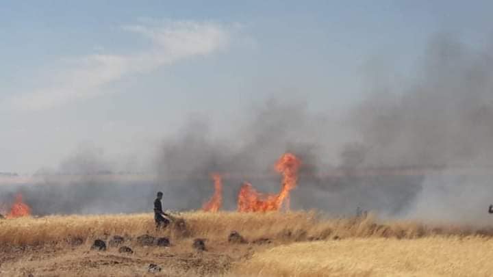 اندلاع حرائق في محاصيل زراعية في درعا، وهل تنجح الإجراءات الحكومية في الحدّ منها؟