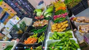 أسعار الخضروات والفواكه والمحروقات وبعض المواد الأُخرى في الريف الشرقي خلال النصف الأول من شهر تشرين الثاني 2023