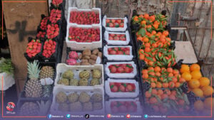 أسعار الخضروات والفواكه والمحروقات وبعض المواد الأُخرى في محافظة درعا خلال شهر شباط 2024 في الريف الشرقي